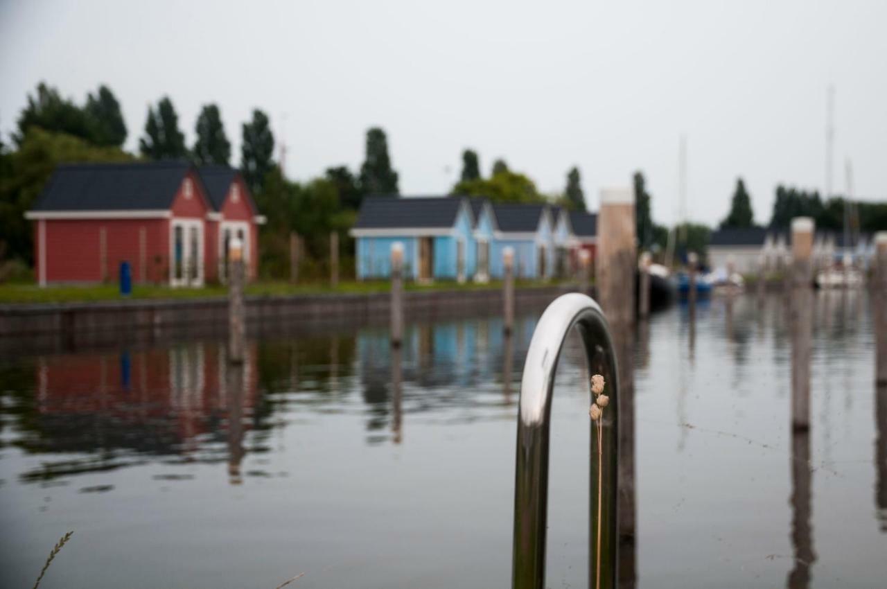 Heerlijk Huis Aan Het Ijsselmeer Stavoren Exteriör bild