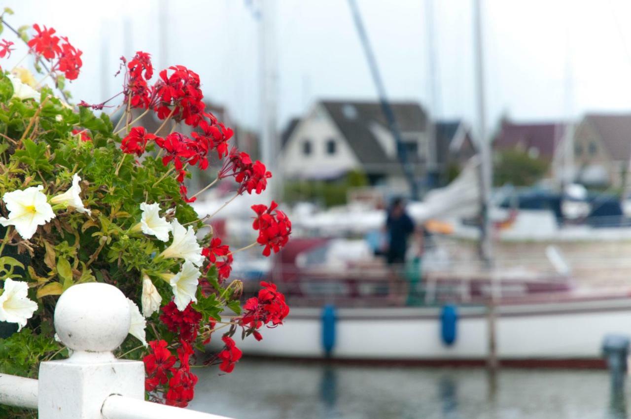 Heerlijk Huis Aan Het Ijsselmeer Stavoren Exteriör bild