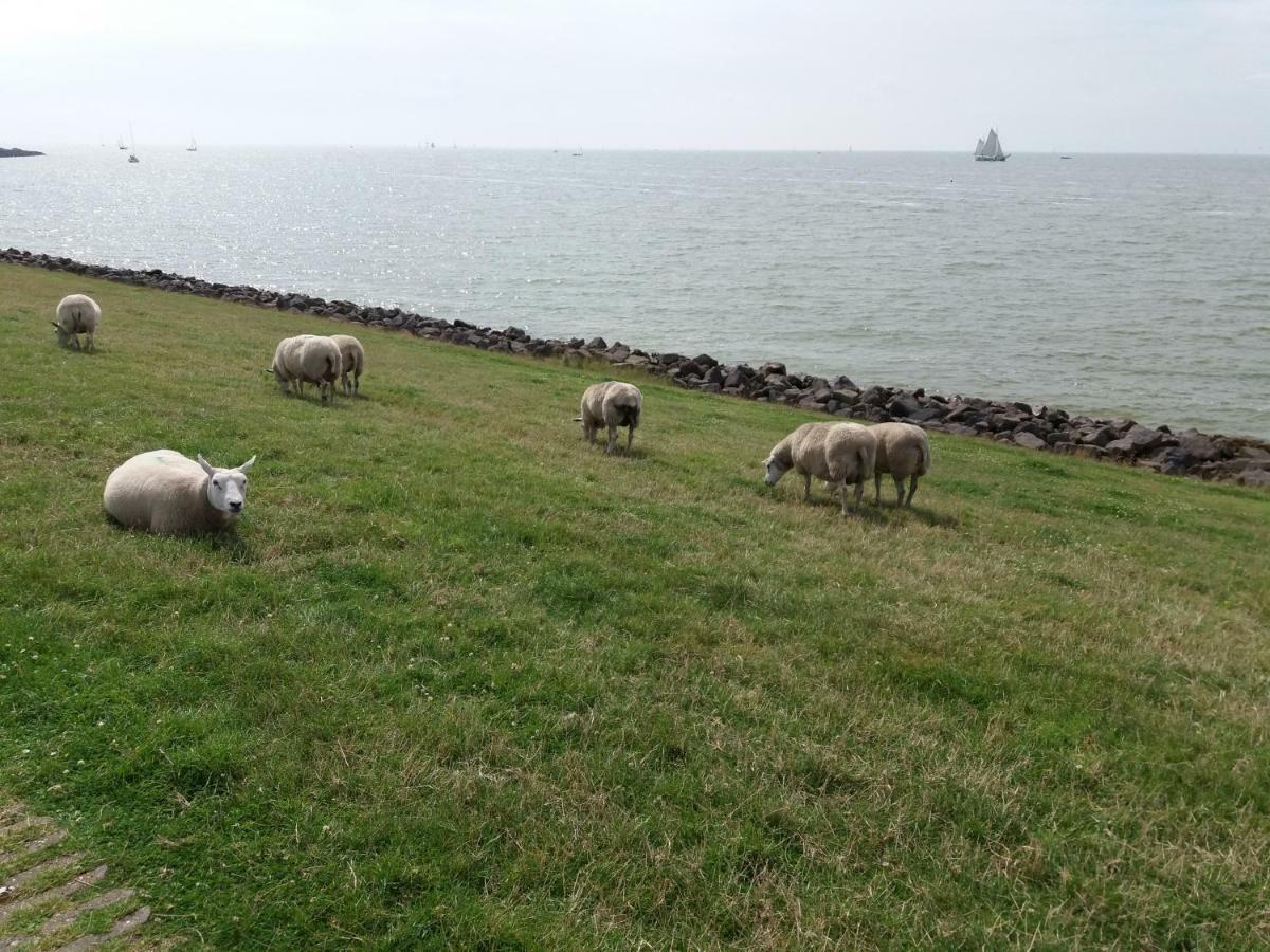 Heerlijk Huis Aan Het Ijsselmeer Stavoren Exteriör bild